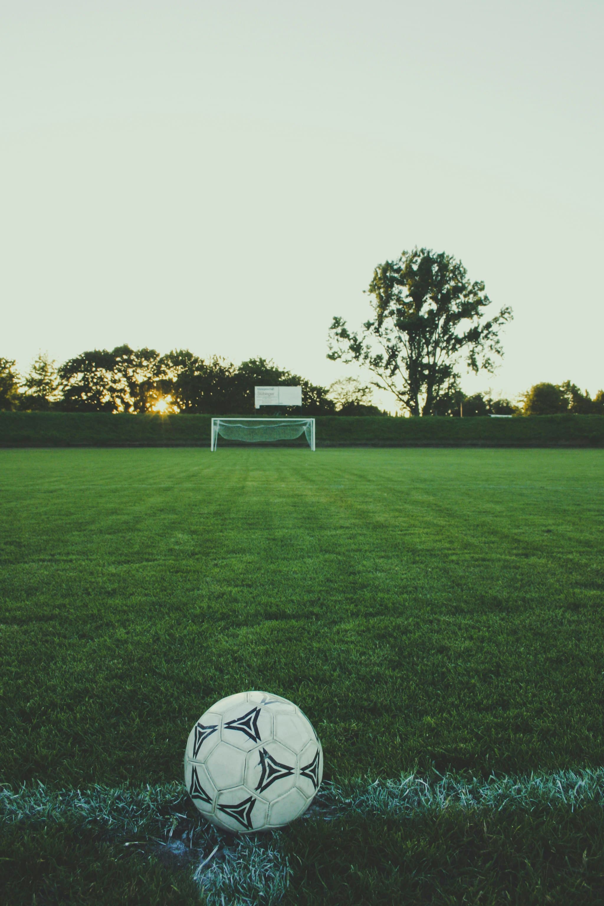 Champion Football Turf